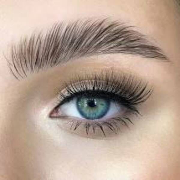 Brow Definition Training Course